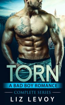 Torn, Liz Levoy