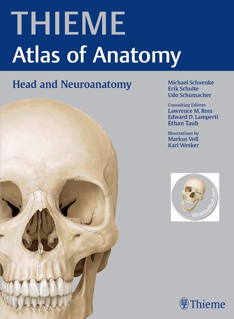 Head and Neuroanatomy (THIEME Atlas of Anatomy), Michael Schuenke, Erik Schulte