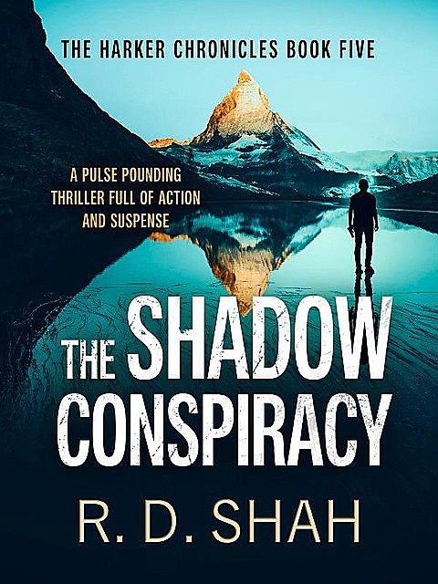 The Shadow Conspiracy, R.D. Shah