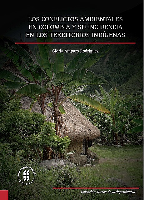 Los conflictos ambientales en Colombia y su incidencia en los territorios indígenas, Gloria Amparo Rodríguez