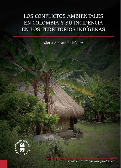 Los conflictos ambientales en Colombia y su incidencia en los territorios indígenas, Gloria Amparo Rodríguez