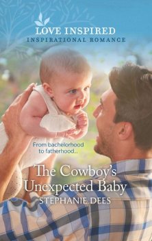 The Cowboy's Unexpected Baby, Stephanie Dees