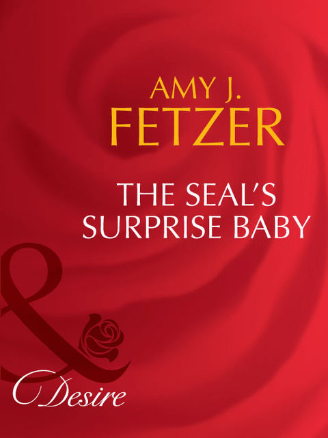 The Seal's Surprise Baby, Amy J. Fetzer