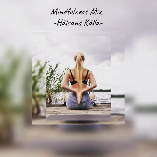 epub – Mindfulness Mix, Heidi Hallifax