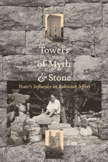Towers of Myth And Stone, Deborah Fleming