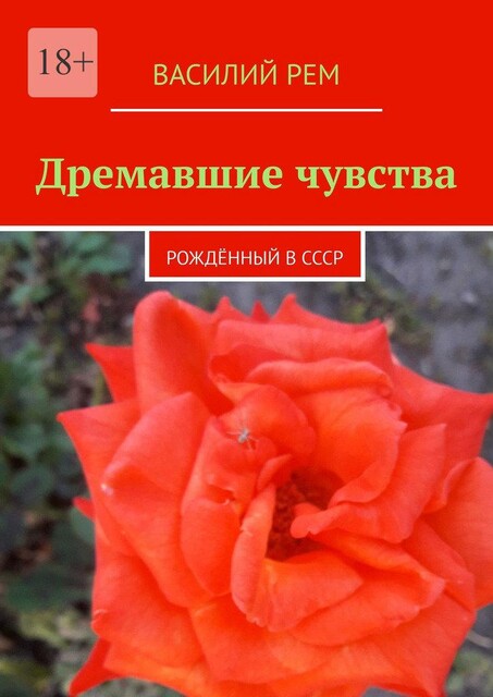 Дремавшие чувства. Рожденный в СССР, Василий РЕМ