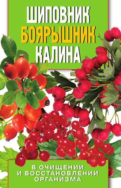 Шиповник, боярышник, калина в очищении и восстановлении организма, В.А.Нестерова