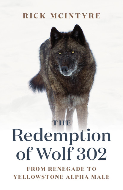The Redemption of Wolf 302, Rick McIntyre