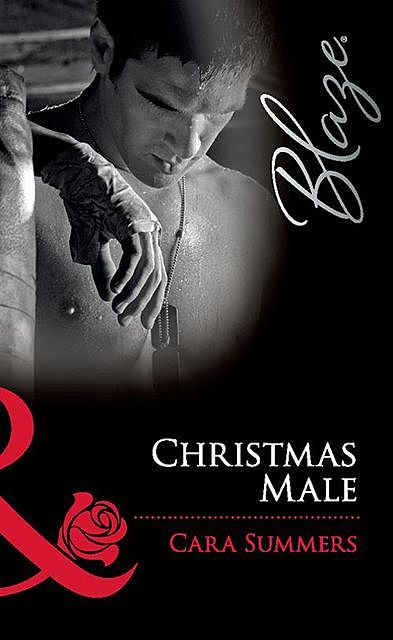 Christmas Male, Cara Summers