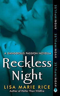 Reckless Night, Lisa Marie Rice