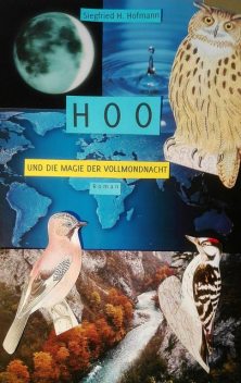 HOO, Siegfried, Hans Hofmann