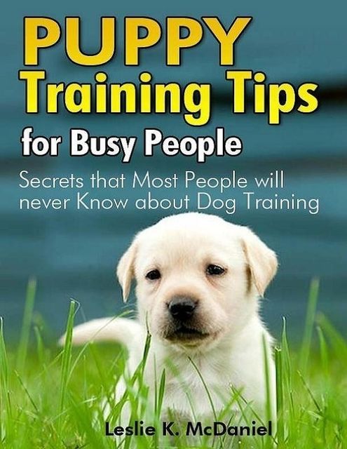 Puppy Training Tips for Busy People: Secrets That Most People Will Never Know About Dog Training, Leslie K.McDaniel