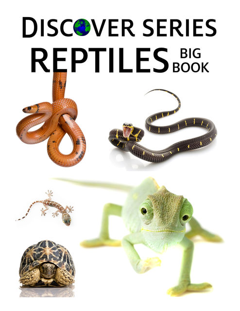 Reptiles Big Book, Xist Publishing