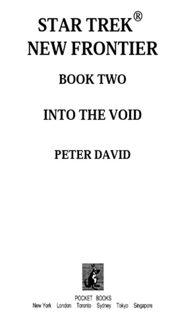 Into the Void, Peter David