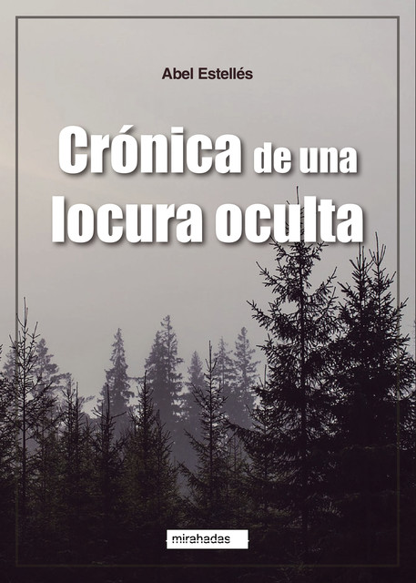 Crónica de una locura oculta, Abel Estellés