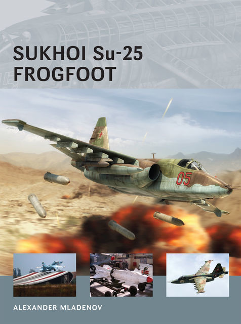 Sukhoi Su-25 Frogfoot, Alexander Mladenov