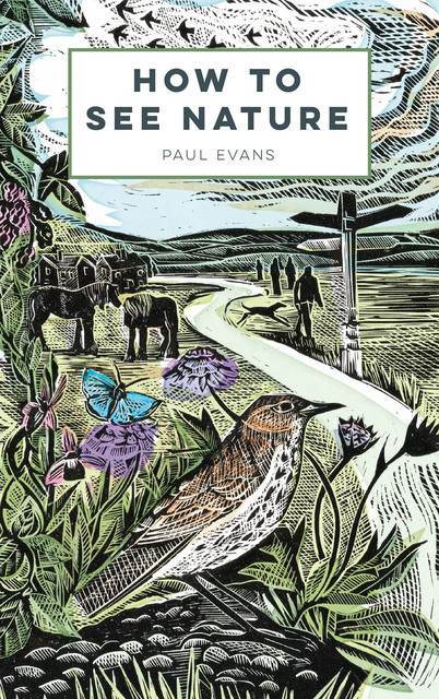 How to See Nature, Paul Evans
