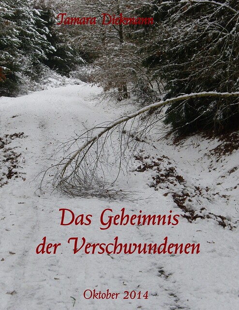 Das Geheimnis der Verschwundenen, Tamara Diekmann