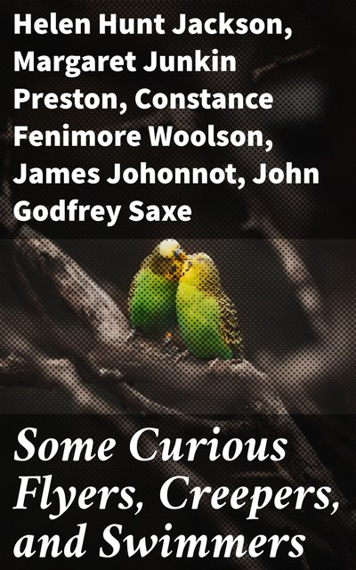 Some Curious Flyers, Creepers, and Swimmers, Helen Hunt Jackson, Constance Fenimore Woolson, James Johonnot, Celia Thaxter, Margaret Preston, John Godfrey Saxe, Lewis Jacob Cist