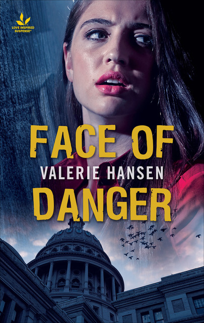 Face of Danger, Valerie Hansen