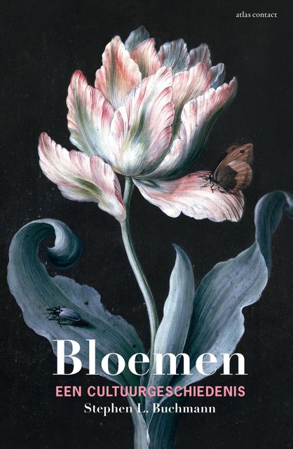 Bloemen, Stephen Buchmann