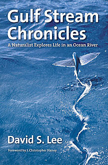 Gulf Stream Chronicles, David Lee