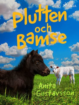 Plutten och Bamse, Anita Gustavsson