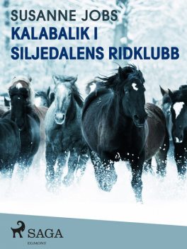 Kalabalik i Siljedalens ridklubb, Susanne Jobs