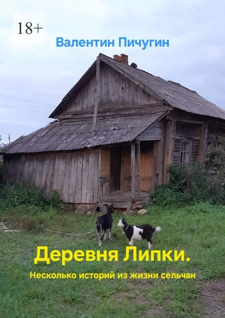 Деревня Липки. Несколько историй из жизни сельчан, Валентин Пичугин