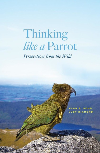 Thinking like a Parrot, Judy Diamond, Alan B. Bond