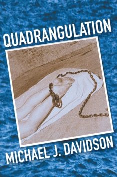 Quadrangulation, Michael Davidson