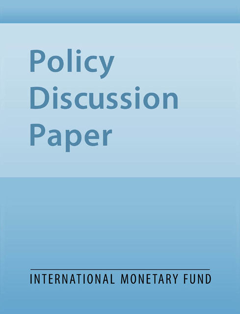 Large-Scale Post-Crisis Corporate Sector Restructuring, Mark Stone