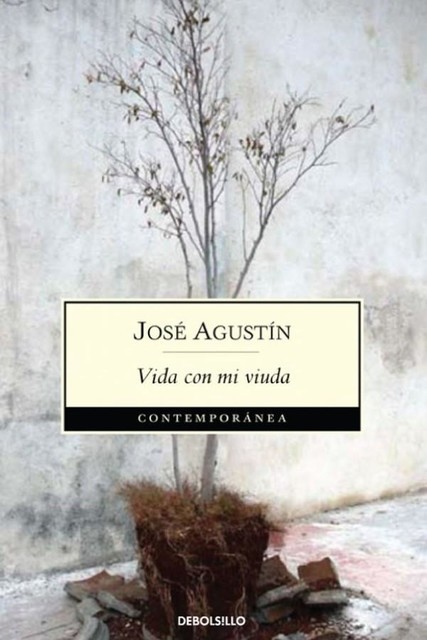 Vida con mi viuda, José Agustín