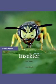 Insekter, Peter Bering