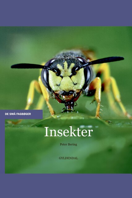 Insekter, Peter Bering