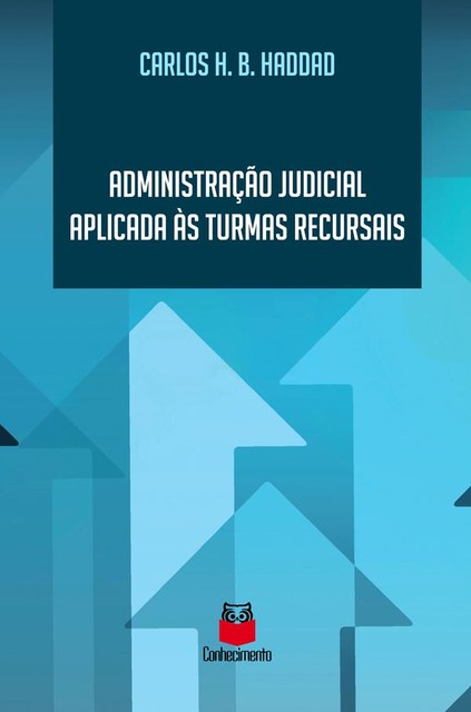 Administração judicial aplicada às turmas recursais, Carlos Henrique Borlido Haddad