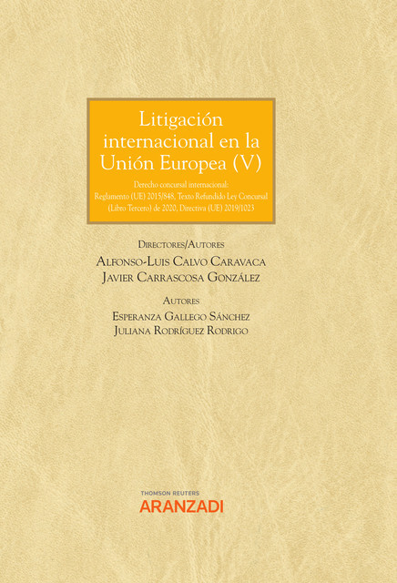 Litigación Internacional en la Unión Europea V, Esperanza Gallego Sánchez, Juliana Rodríguez Rodrigo