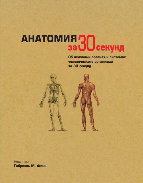 Анатомия за 30 секунд. Об основных органах и системах человеческого организма, Габриэль М. Финн, Джо Бишоп, Джудит Барбаро-Браун, Клэр Франс Смит, Марина Соудон, Эндрю Чейтор, Десембер Айка
