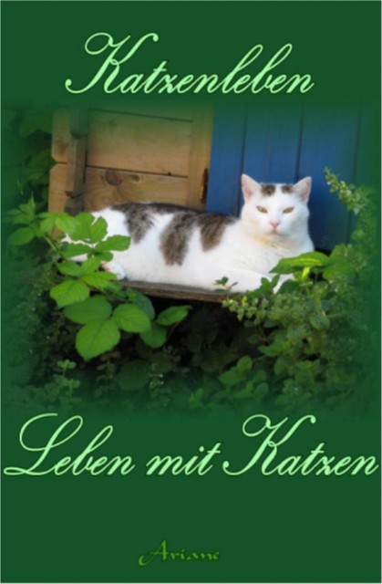 Katzenleben, Ariane47
