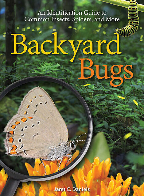Backyard Bugs, Jaret C. Daniels