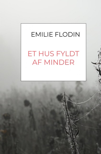 Et hus fyldt af minder, Emilie Flodin