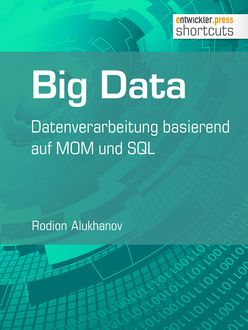 Big Data, Rodion Alukhanov
