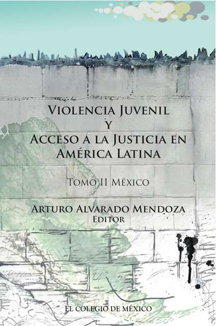 Violencia juvenil y acceso a la justicia, Arturo Alvarado Mendoza