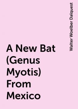 A New Bat (Genus Myotis) From Mexico, Walter Woelber Dalquest