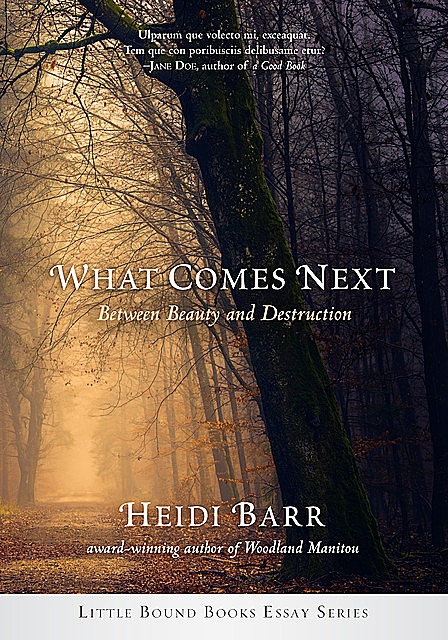 What Comes Next, Heidi Barr
