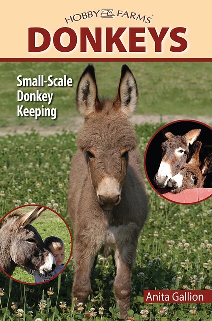 Donkeys, Anita Gallion