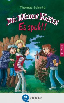 Die Wilden Küken – Es spukt, Thomas Schmid