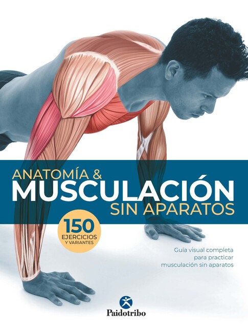 Anatomía & musculación sin aparatos (Color), Guillermo Seijas Albir