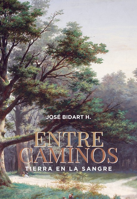 Entre caminos, José Bidart H
