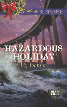 Hazardous Holiday, Liz Johnson